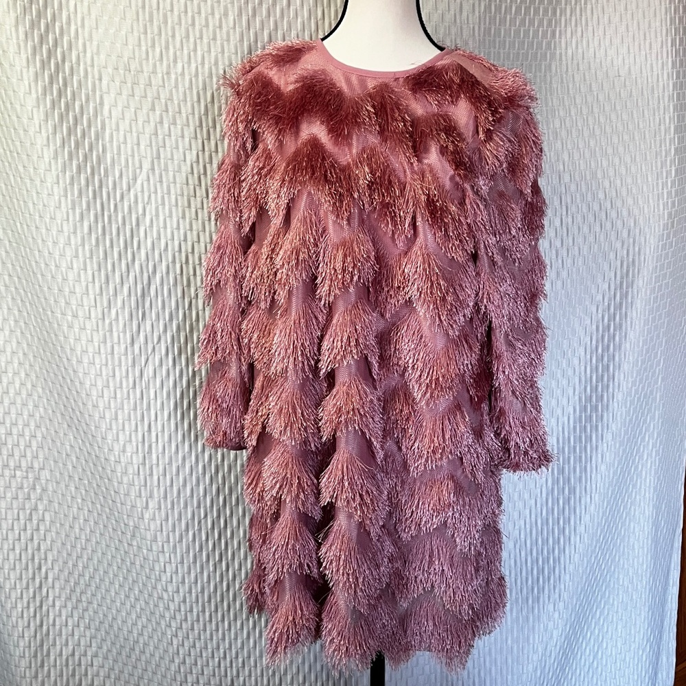 Hutch Women’s Fringed Chevron Dress in Rose Size M